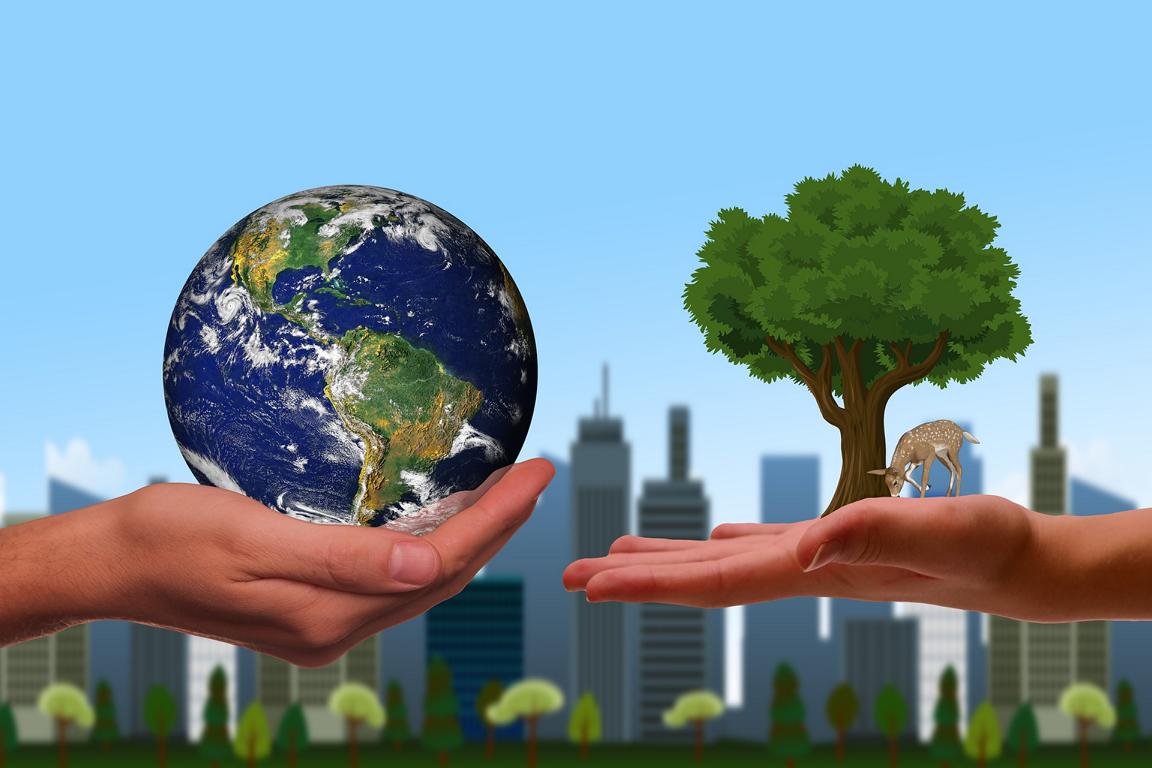 Nachhaltigkeit: Planet und Baum auf Händen getragen